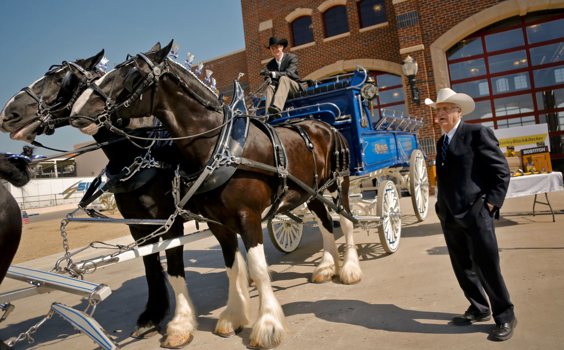 Visit a Clydesdale